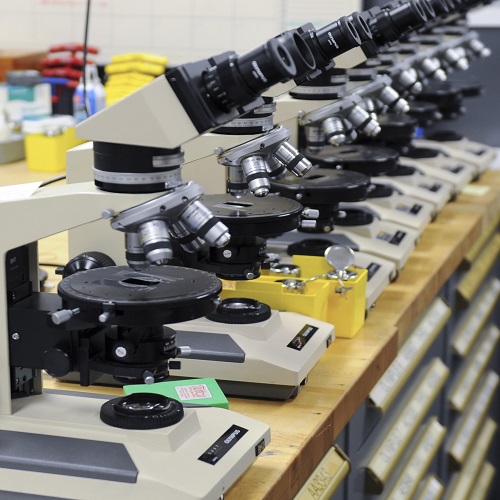 تعمیر میکروسکوپ ، تعمیر میکروسکوپ دو چشمی ، تعمیر میکروسکوپ آزمایشگاهی